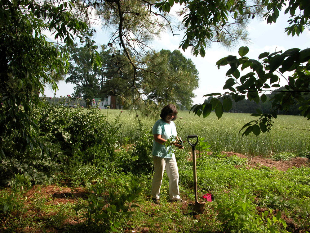 Vickie in the Garden