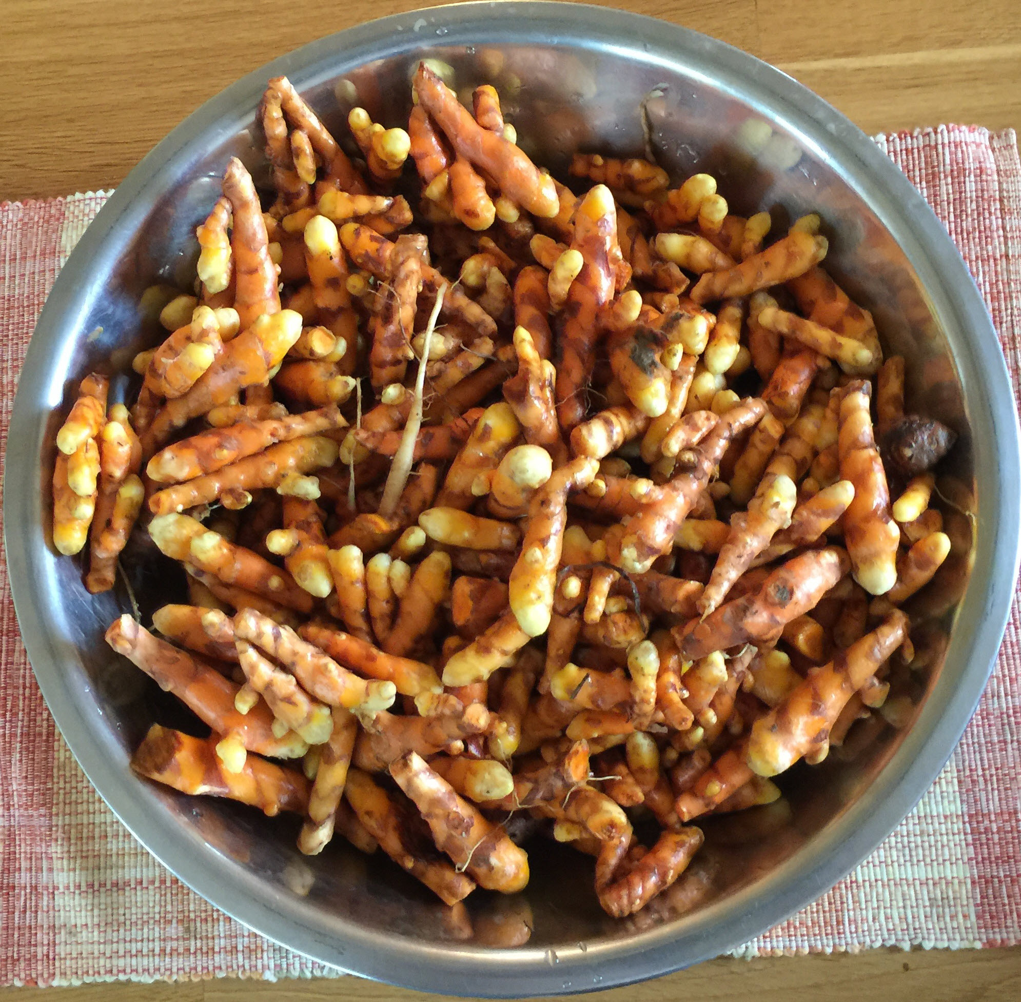 turmeric tubers  - tubers used with prickly ash seed capsules to make Zest! seasoning 