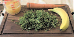 Cleavers, Bedstraw