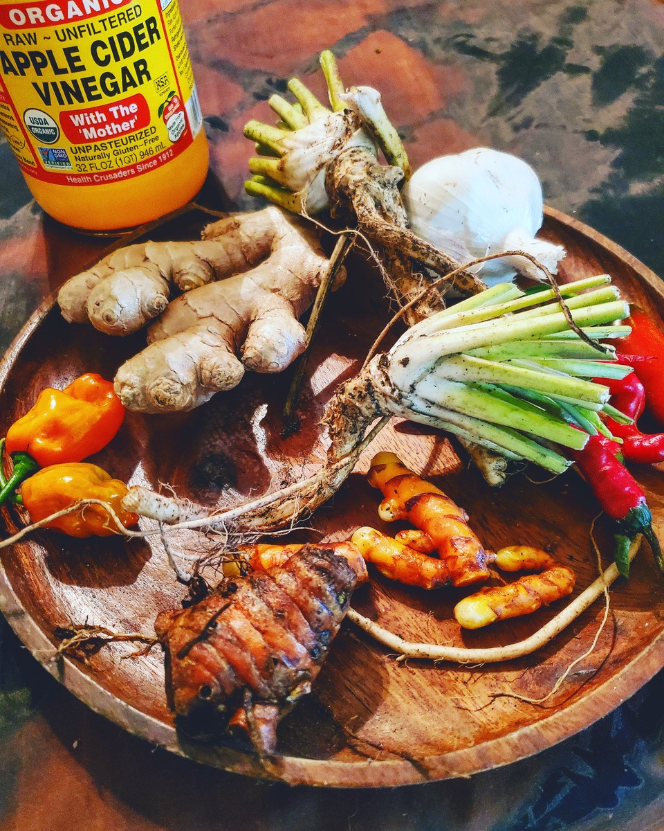 fire cider ingredients at Wild Woods Farm